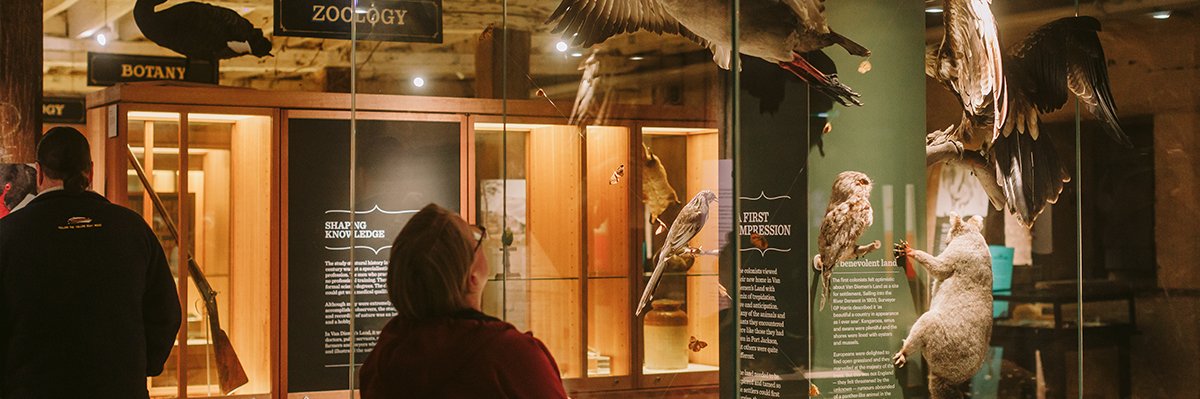 2023 Margo Adler - Inset4