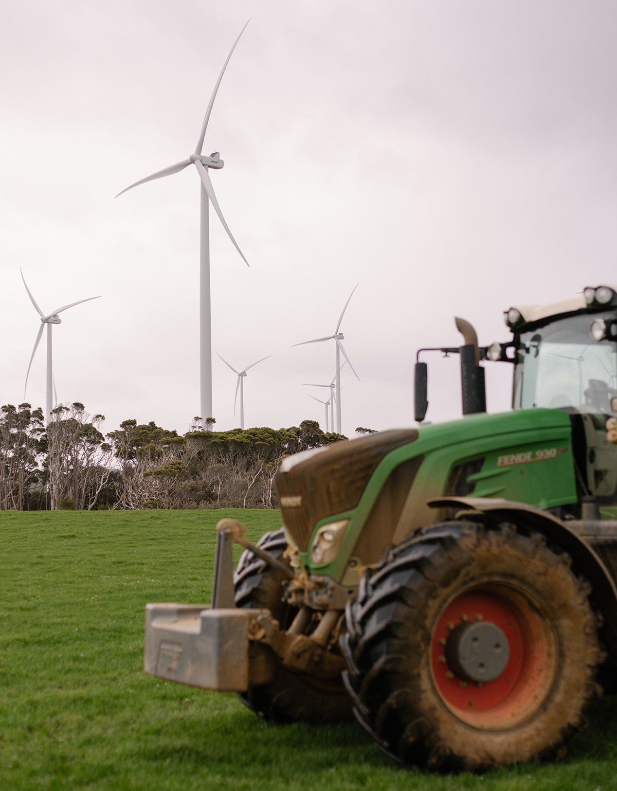 2023 Royce Smith - Inset2