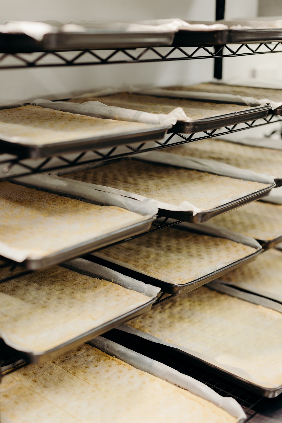 TasmanianMark-RangeTasmania-27